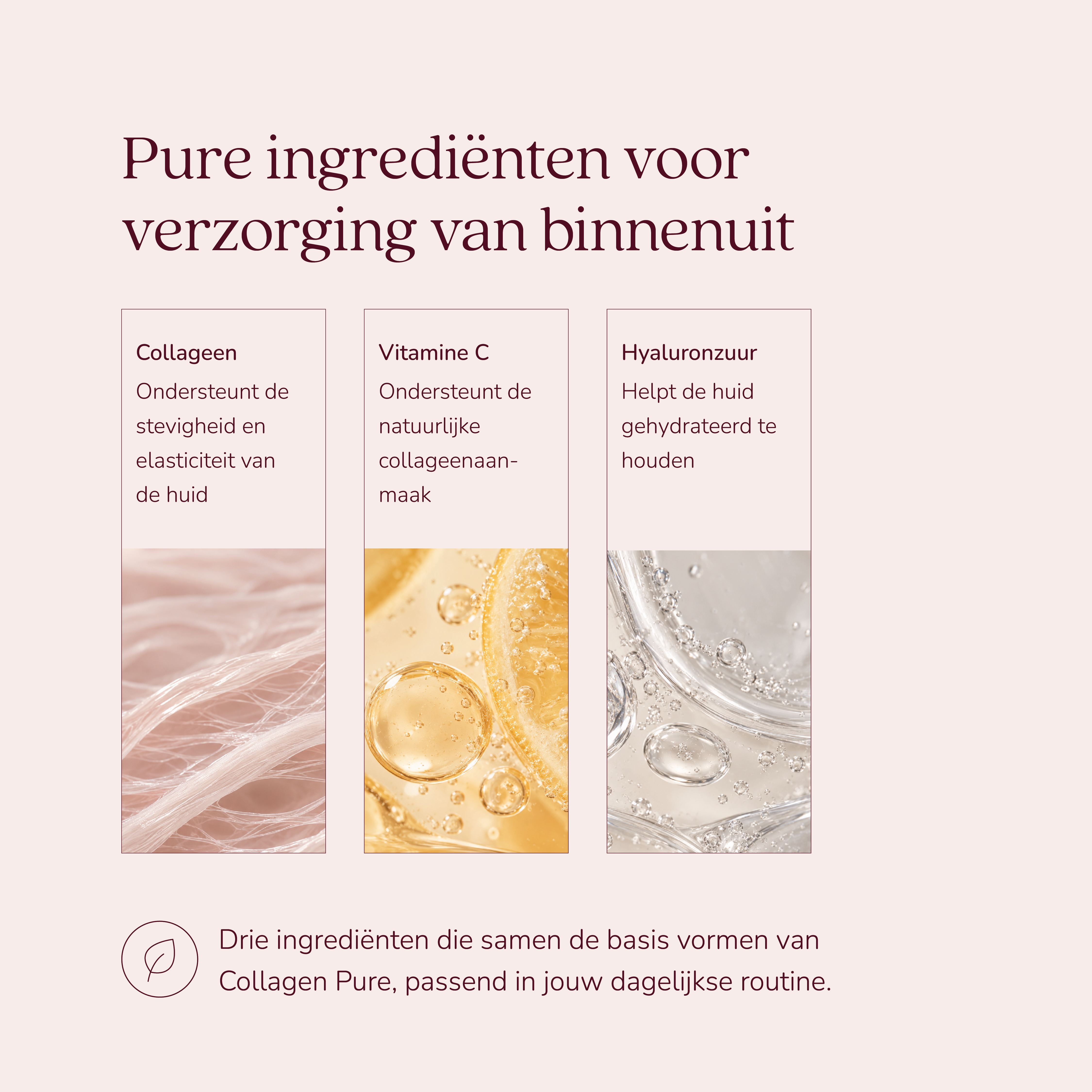 Collagen Pure